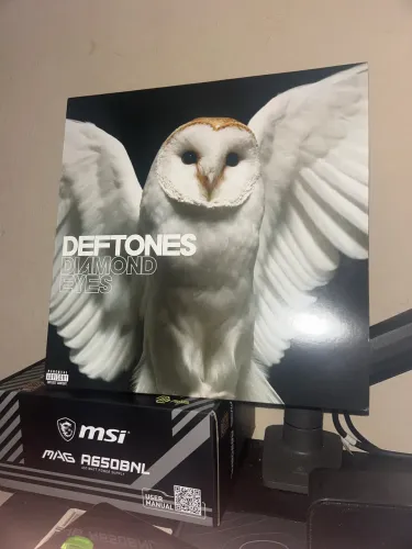 Disco Vinil Deftones