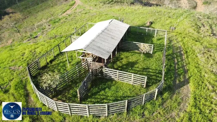 Fazenda à Venda em Pires do Rio GO | 31 Alqueires | Rica em Água