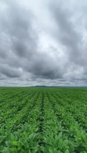 VENDO FAZENDA DE 2.114 HECTARES NA REGIÃO DE MORADA NOVA DE MINAS ( 6243 )