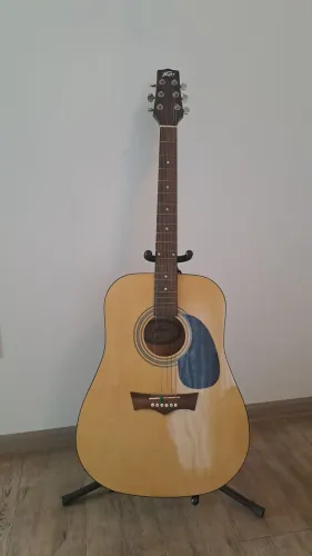 Violão acústico Peavey com capa e tripé