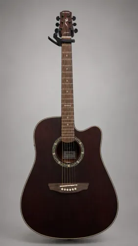 Violão Strinberg LE50C SMS