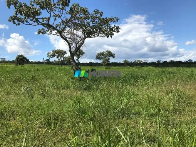 FAZENDA À VENDA - 167 HECTARES - SÃO ROMÃO (MG)