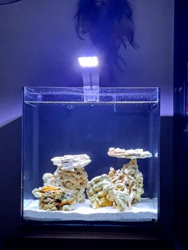 Aquário Marinho Nano