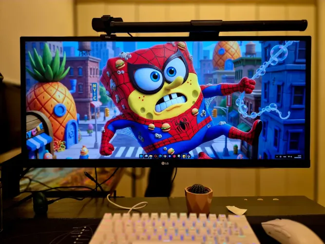 Monitor LG UltraWide 29? - 29WL500-B