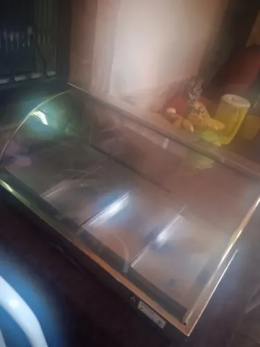 Estufa para salgados 
