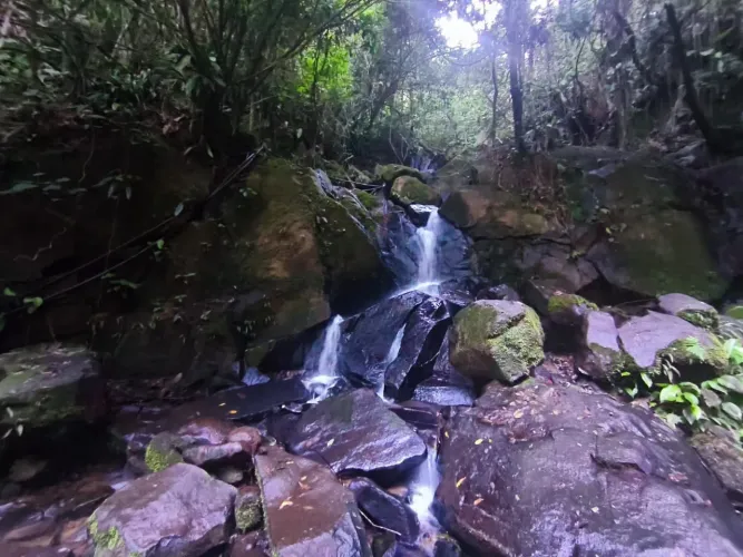 Terreno 20 mil m², Rio Sagrado, Morretes, PR