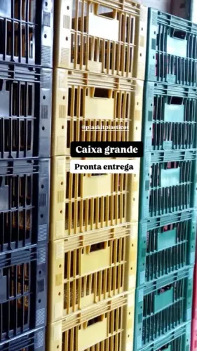 Galeia grande > pronta entrega