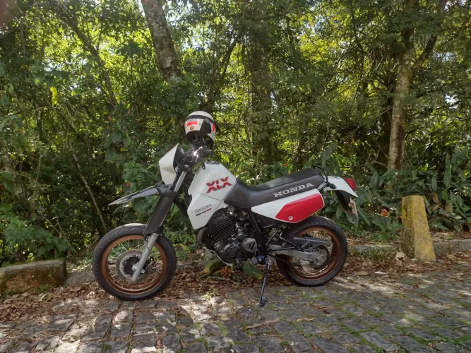 XLX 350 Motard 