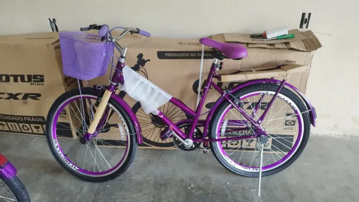 Bicicleta aro 24 Roxa - Nova