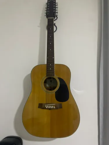 Violão 12 cordas elétrico