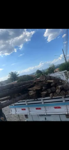 Escoramento e tábua 