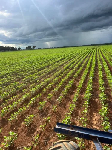 Fazenda 137 Alqueires na Lavoura!