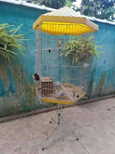 Viveiro de passarinho