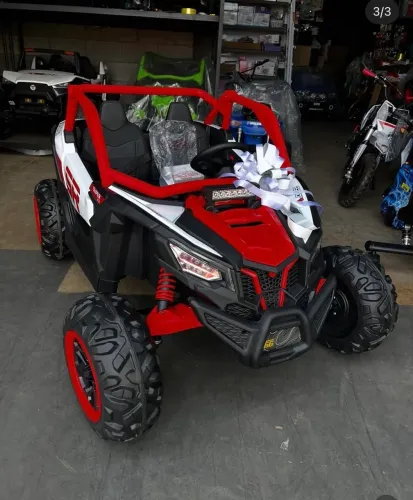 Bug 24v