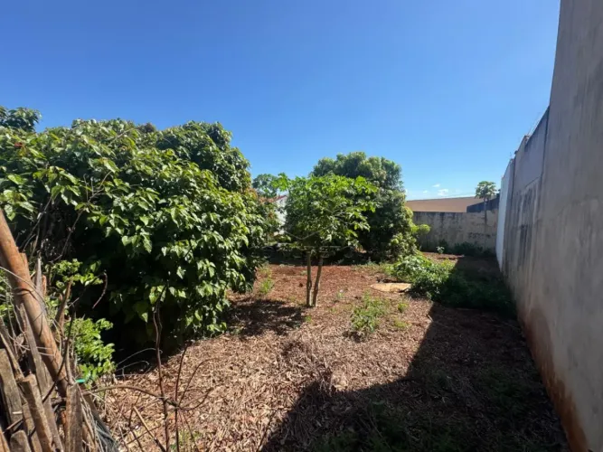 Terreno Área em Jaú