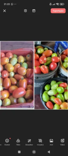 Tomates