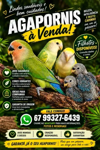 Disponível 350