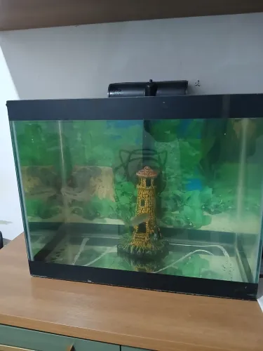 Aquário mais ou menos 60 litros