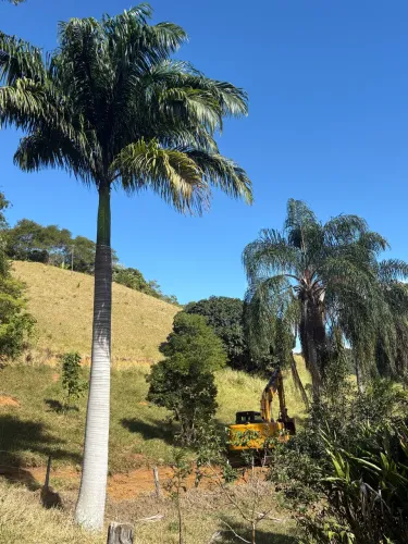 Vendo lindo terreno