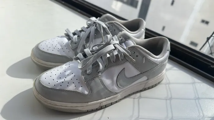 Nike Dunk Low Grey