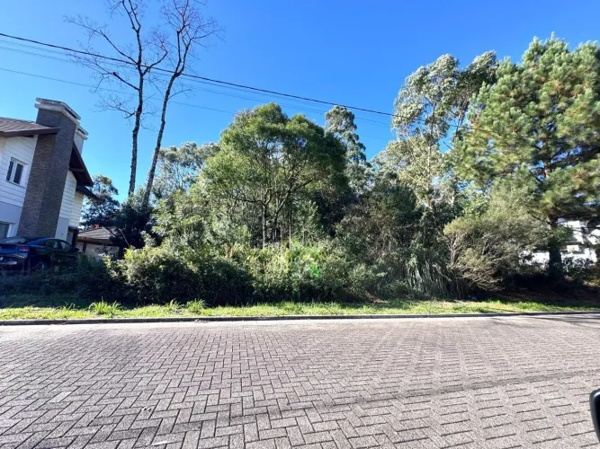 Terreno no bairro Vivendas do Arvoredo em Gramado!