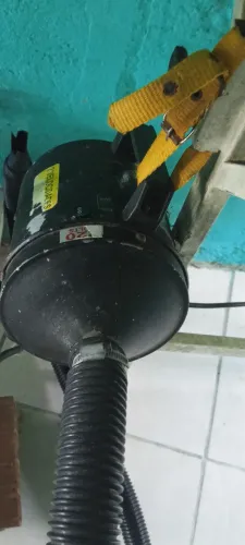 Banho e Tosa completo 