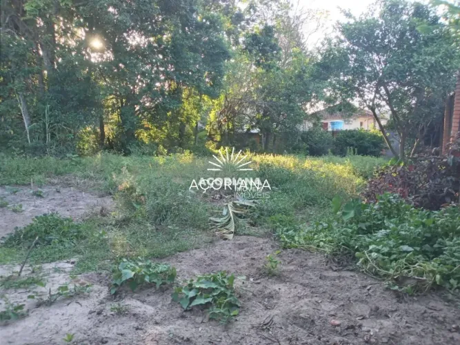 Oportunidade no Rio Tavares - Terreno a Venda