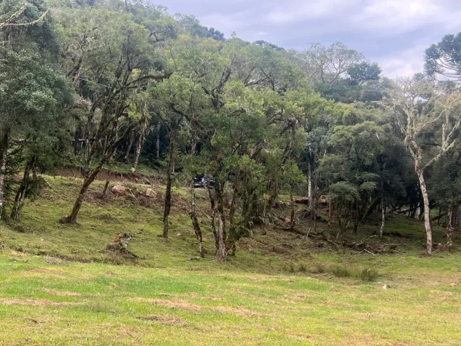 Sítio Urubici SC - 199 mil - 30% + 48 X
