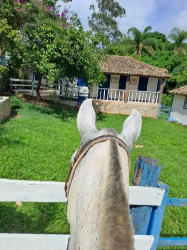 Fazenda em Resende Costa MG com muita água e pomar adulto com diversas árvores frutíferas