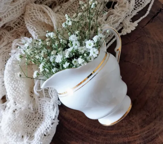 Jarrinha em porcelana inglesa Fine Bone China Paragon