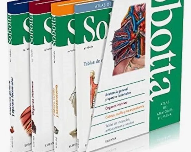 Livro Atlas anatomia Sobotta 24 edição