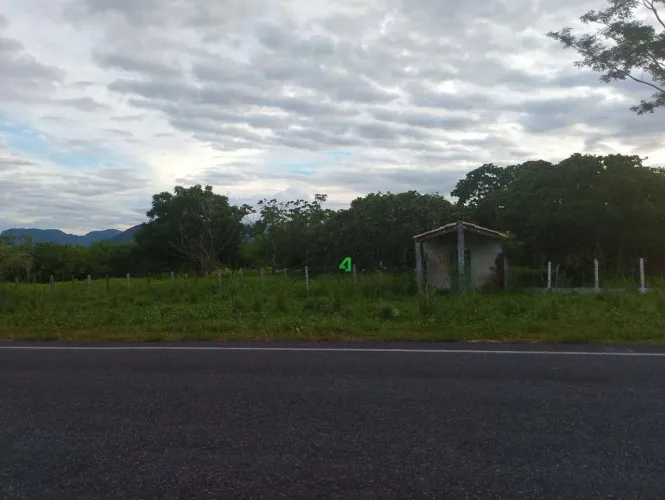 FAZENDINHA À VENDA  6 HECTARES ENTRE TURURU E UMIRIM/CE