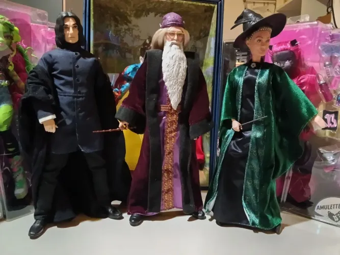 Lote professores Harry Potter