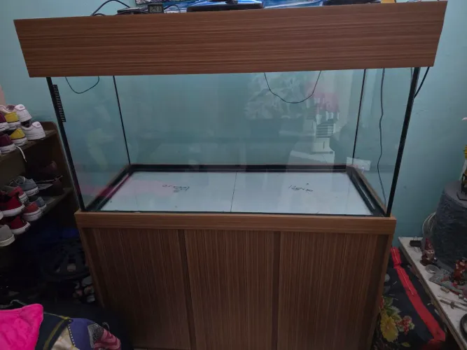 Aquario 360L completo