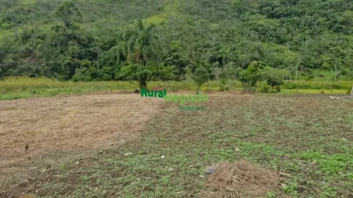 SÍTIO COM  CÓRREGOS E MATA NATIVA NA SERRA DA MANTIQUEIRA NO RIBEIRÃO GRANDE EM PINDAMONHA