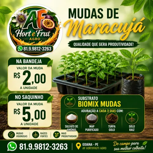 Mudas de maracujá