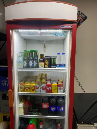 Freezer vertical