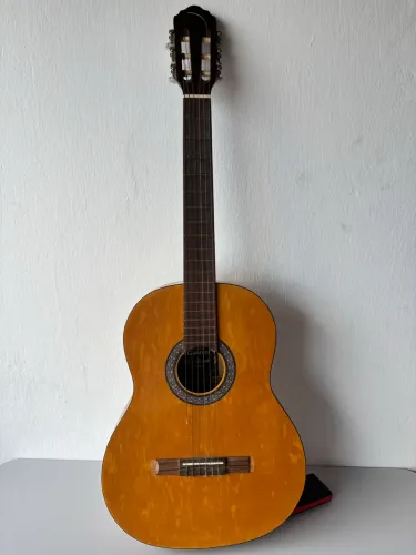 Violão Giannini GWNE-12 Série Estudo - Nylon