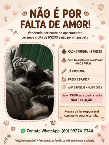 Vende-se shitsu