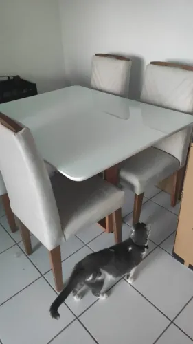 Mesa sala de Jantar