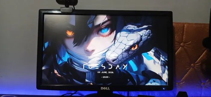 Monitor Dell