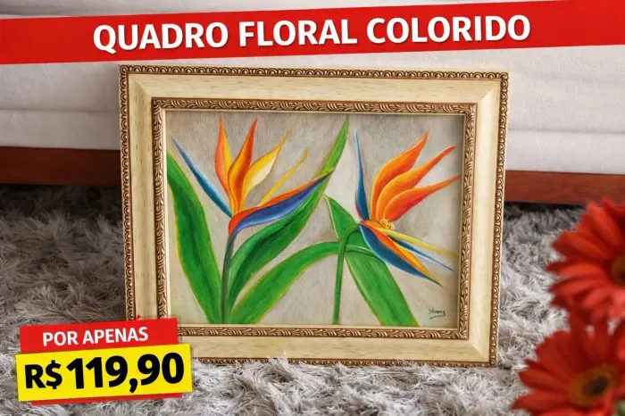 Quadros variados e baratos