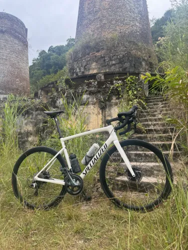 Specialized SL6 Disc tamanho 56