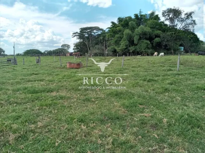 FAZENDA À VENDA EM DOVERLÂNDIA-GO | 72 ALQUEIRES
