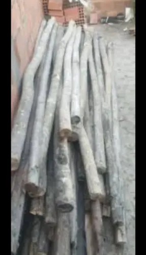 Estronca de 3.20