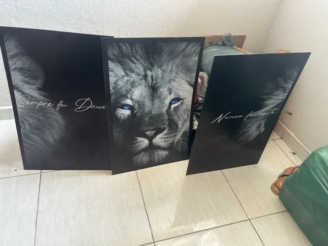 Vendo quadros