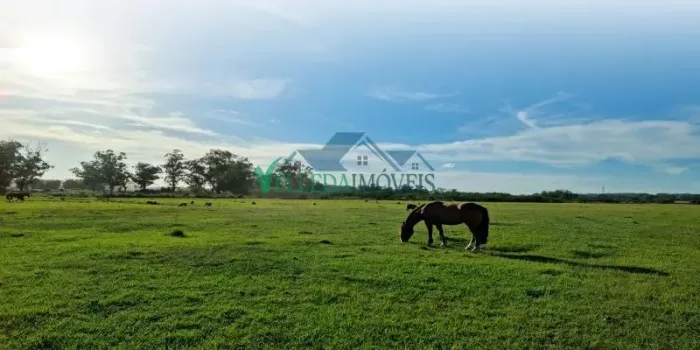 Velleda oferece lindo sítio em Águas Claras, Viamão, 15 hectares, boa de água