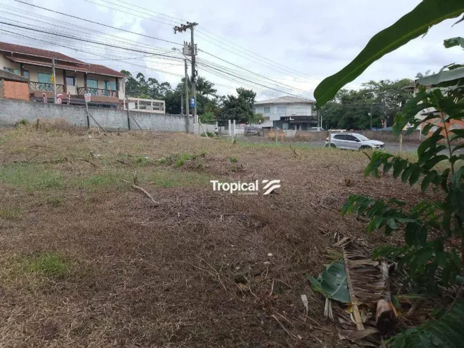 Terreno à venda, 360 m² por R$ 390.000,00 - Fortaleza Alta - Blumenau/SC