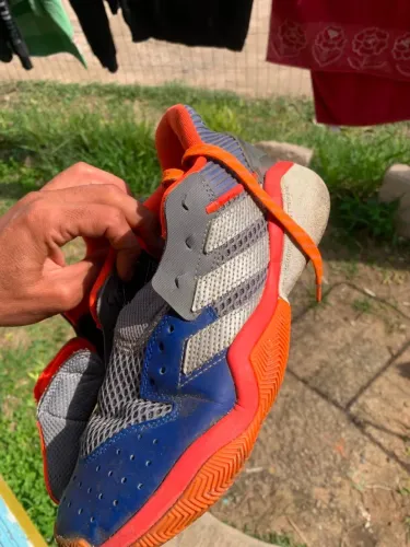Tenis