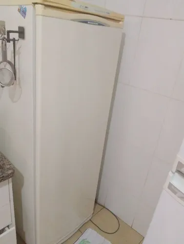 Freezer vertical